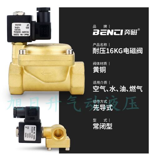 奔磁高压电磁阀Best-Nr 0200耐压16KG水阀气阀ACM220V DN15 20 25