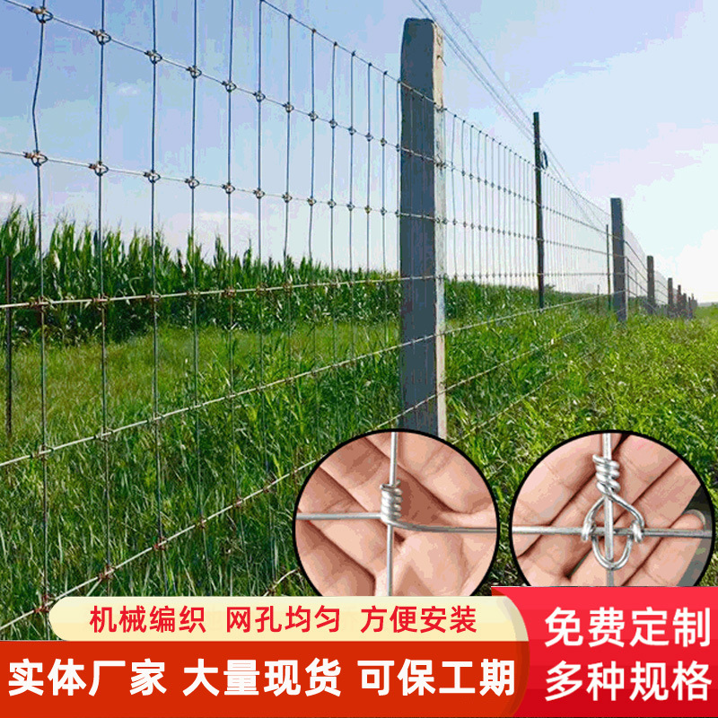 速发养牛栏网不锈钢丝网养殖护栏网养鸡护围栏网果V园圈地网铁丝