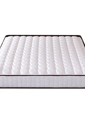 臻远 ZY-ML-kH09202 席梦思弹簧床垫 1200*2000 白色