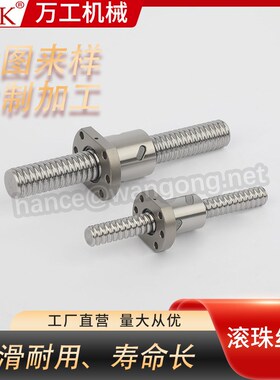 FSL40E20005C7 线性滚珠丝杆模组滑台配套丝杠SFU1605-4