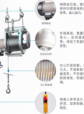 TOYO/东洋GT250A钢丝绳提升机 旁磁制动器安全可靠220V家用小吊机