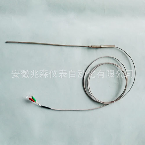 WRNK-191铠装热电偶 热电阻 温度传感器探头WRNK-391 WZPK-391