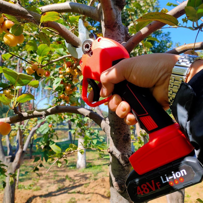 锂电电动修枝剪园林苗木花卉电树枝无线充电剪刀 园林工具