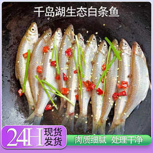正宗千岛湖野捕浪里白条白浪丝青条丝活鱼现杀新鲜真空锁鲜冷链