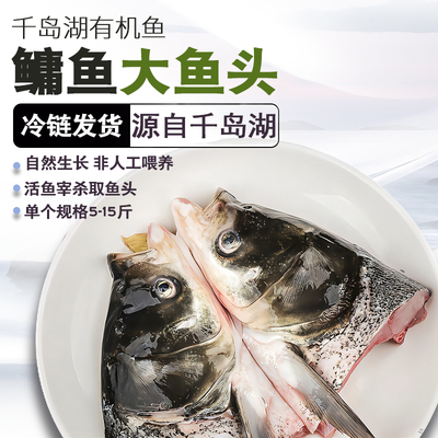 正宗千岛湖鳙鱼头5-15斤规格现杀