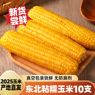 2025头茬新鲜东北黄糯玉米黑玉米真空包装粘苞米粒加热即食代早餐