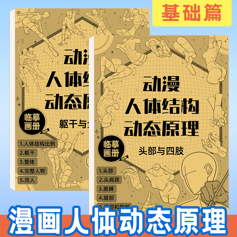 动漫人体结构动态临摹本漫画手绘描摹本入门素描漫画人物造型描摹练习册漫画素描速写美术自学临摹本动态结构教学 画画本图片