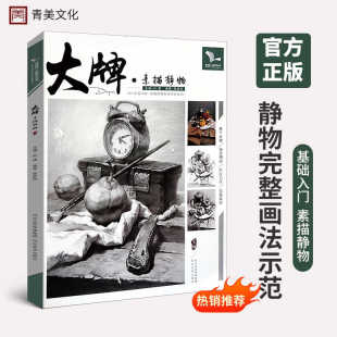 大牌素描静物专用组合临摹书范本美术基础技法结构到位绘画册图册美术生联考入门教学程材书籍