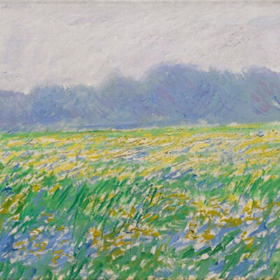 客厅沙发墙装饰画Claude Monet莫奈田园风景油画V吉维尼的鸢尾花
