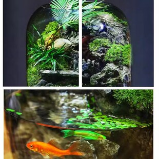 【时来运转】流水款养鱼缸苔藓微景观生态瓶真植物成品室内送礼