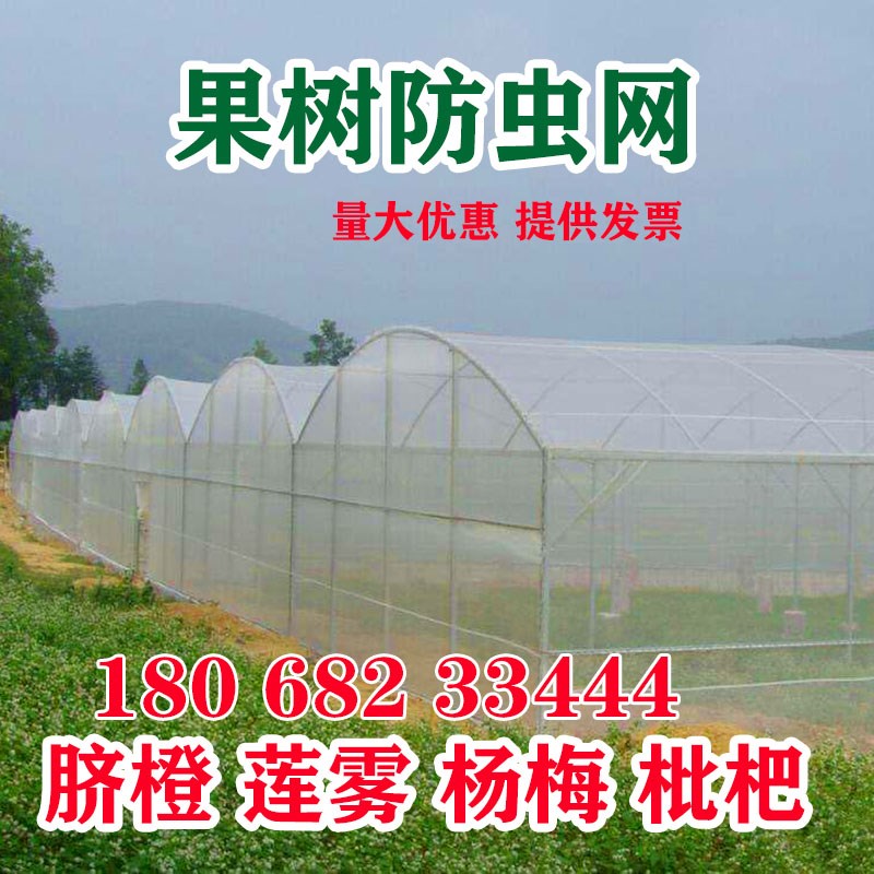 果树防虫网脐橙h莲雾杨梅网罩果树防鸟的网防果蝇网蔬菜大棚防虫