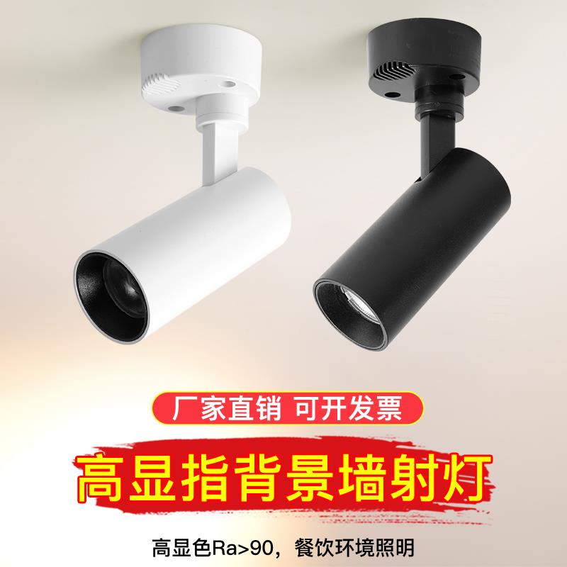2700k明装吸顶射灯餐饮餐厅小酒馆过道背景墙照画家具店轨道灯12w