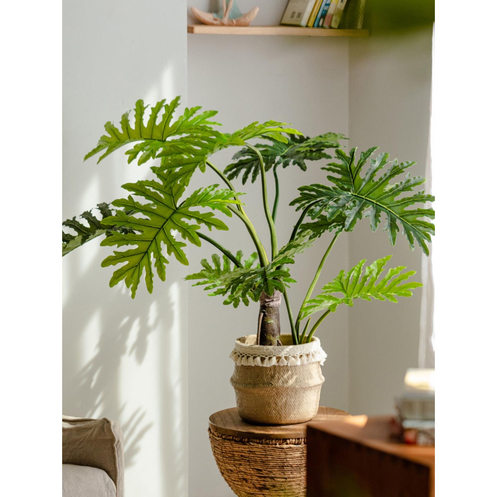 型掬涵彷真绿植春羽假生树盆栽大彷植物室内ICT客厅落地摆装饰造