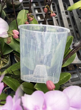 蝴蝶兰养根盆控根盆透明PP材料带空气柱RKGP呼吸多肉兰花专用花盆