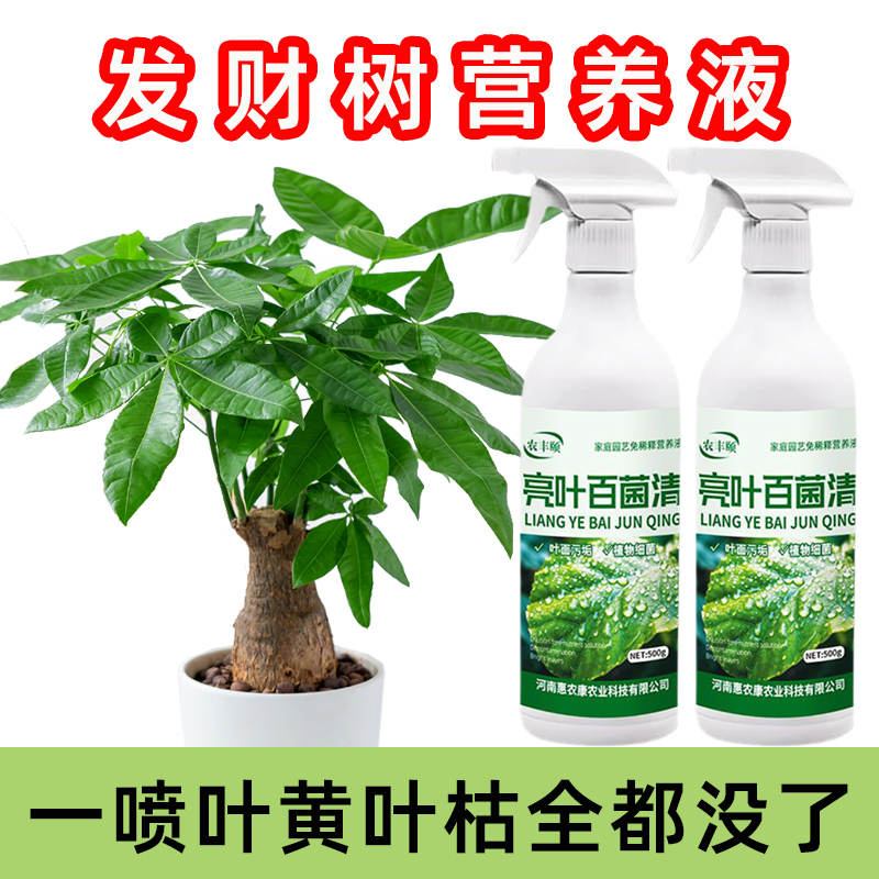 盆栽植物花卉营养液叶黄杀虫灭菌
