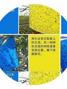 库新款 厂销黄板板装 果园双面防水板诱虫马粘虫粘篮板大棚虫板蓟销