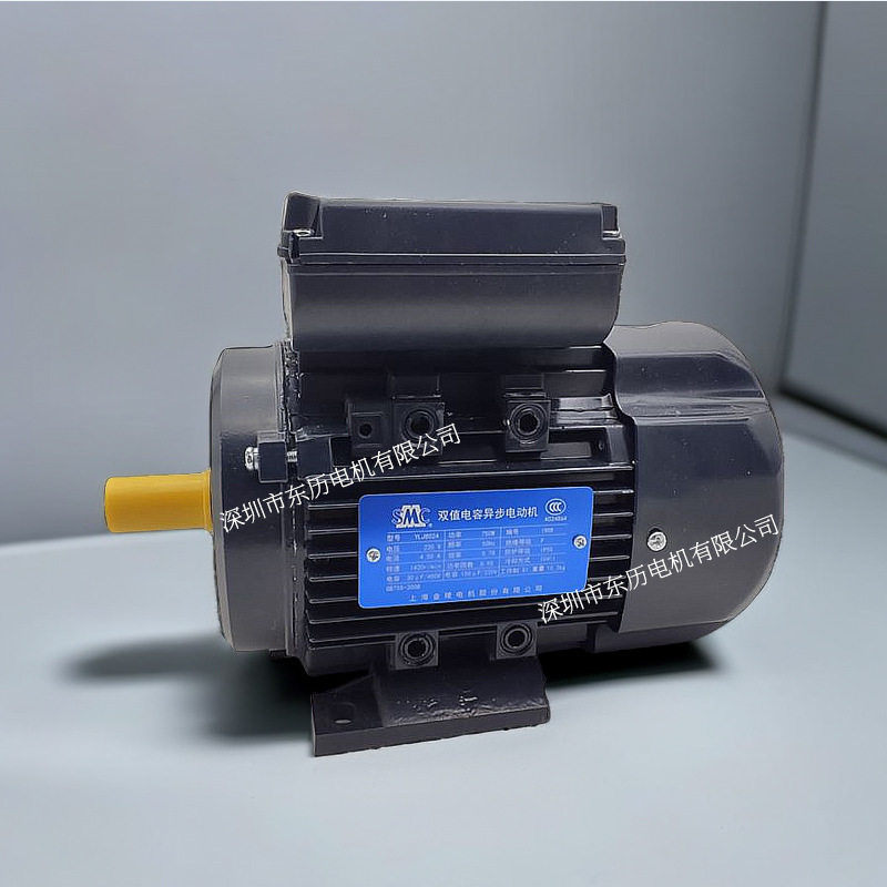 SMC上海金陵电机YLJ8024双值电容异步电动机750W马达220V行货