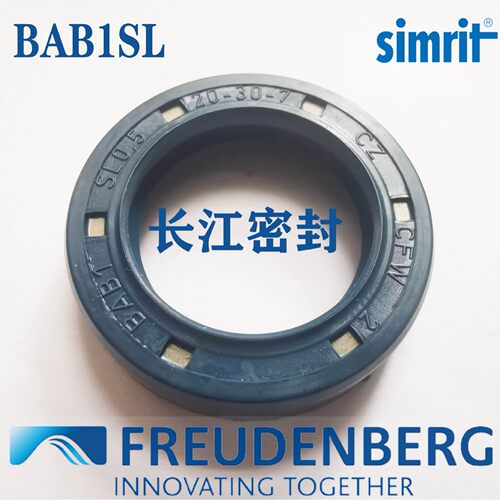 CZ CFW BAB1SL 17-30-6-6.5 SIMMERRING AS德国双唇高压油封