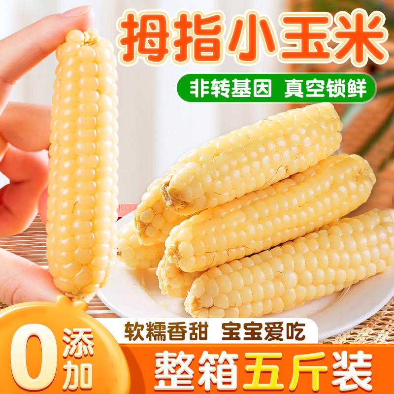 西双版纳直发香糯拇指玉米