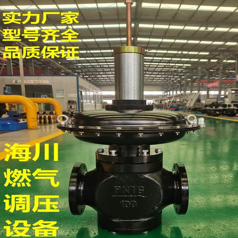 河北RTZ-100K燃气减压阀调压器天然气调压箱
