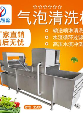 商用蔬菜清洗机叶菜瓜果气泡洗菜机大型青菜气泡清洗机果蔬清洗机