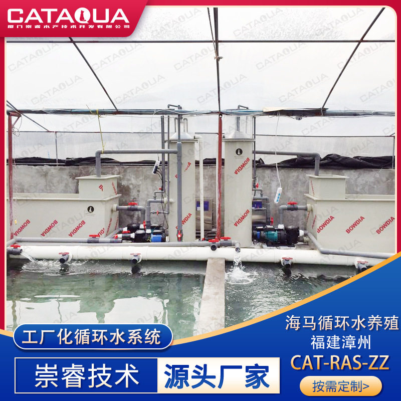崇睿技术漳州海马循环水养殖项目工厂化循环水处理设备水处理系统