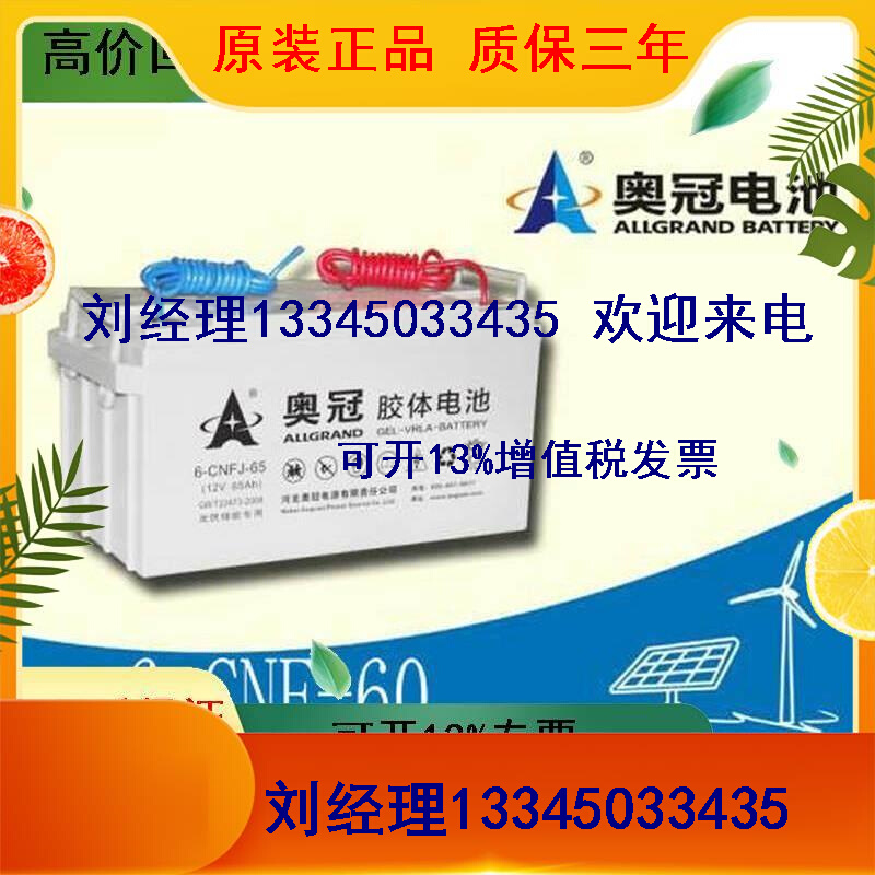 奥冠光伏储能胶体太阳能路灯照明12V60AH12伏60安时蓄电池包邮