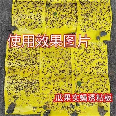 诱敌实蝇黏胶板诱虫板引诱剂农用大棚针蜂实蝇果蝇瓜蝇贴双面黄板