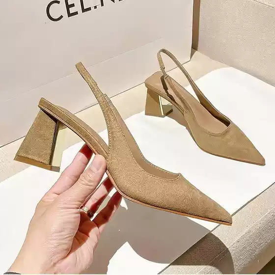 Pointed-Toe High-Heeled Shoes for Women, Chunky Heel, 2027 Spring/Summer/Autumn New Style, Retro Elegant Mule Closed-Toe Sandals, Women's Shallow Mouth Single Shoes