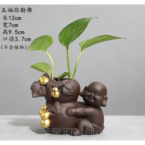 新款创意萝水培植物透明瓶玻花家用客厅装饰摆件水养璃插绿花陶瓷