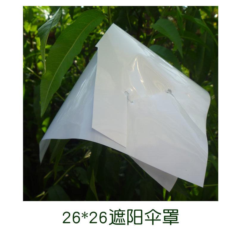 葡萄伞罩阳光玫瑰套袋专