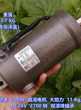 大功率 300 W 直流电机 DC24V 2700 转 大扭矩11KG/cm 双滚珠轴承