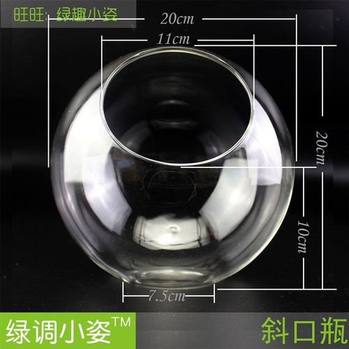 苔藓微景观生态玻璃瓶造景斜口吊瓶迷你创意水培容器圆木塞瓶带灯