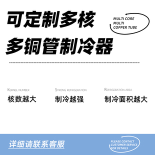 半导体制冷片12jv制冷小空调机 冰 制冷半导体温差电子制冷器diy