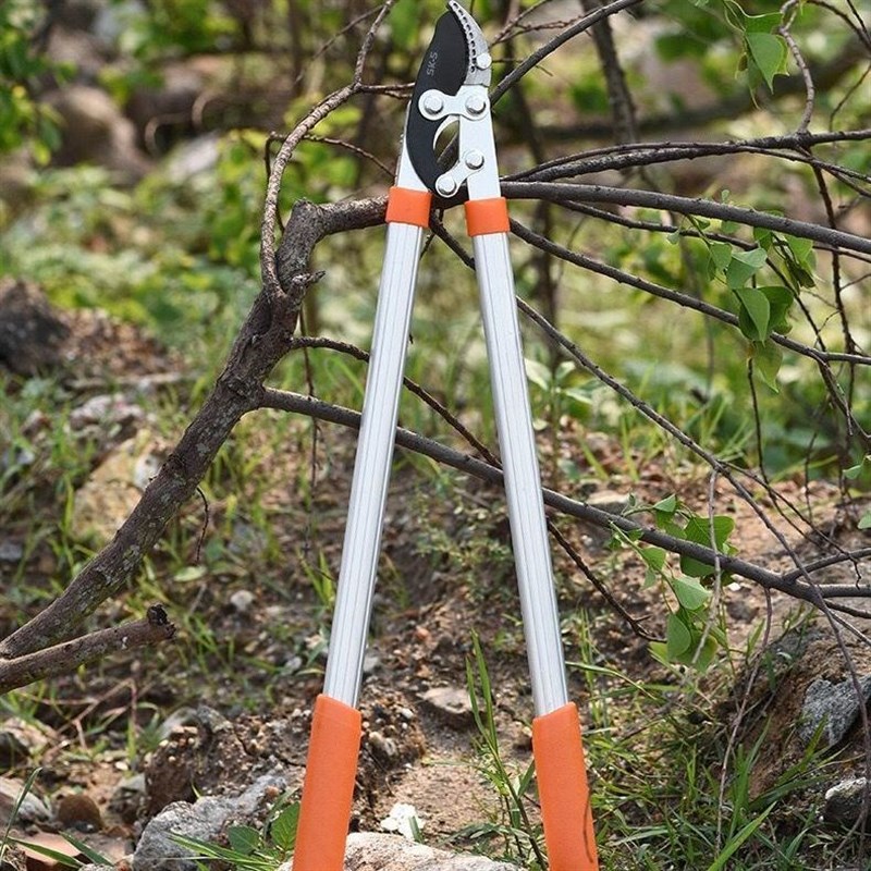 进口强力粗枝剪大力剪刀伸缩园林F果树剪高枝剪树神器园艺剪子