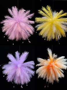 婚房装 卧室睡袍照片背景多巴胺悬挂芦苇烟花孔雀草柱 饰套装