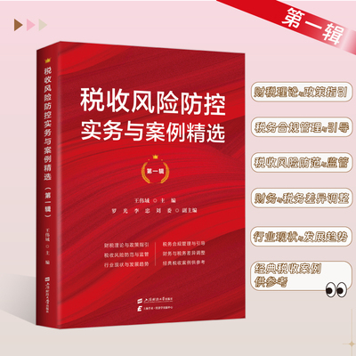 2025年 税收风险防控实务与案例精选 王伟域