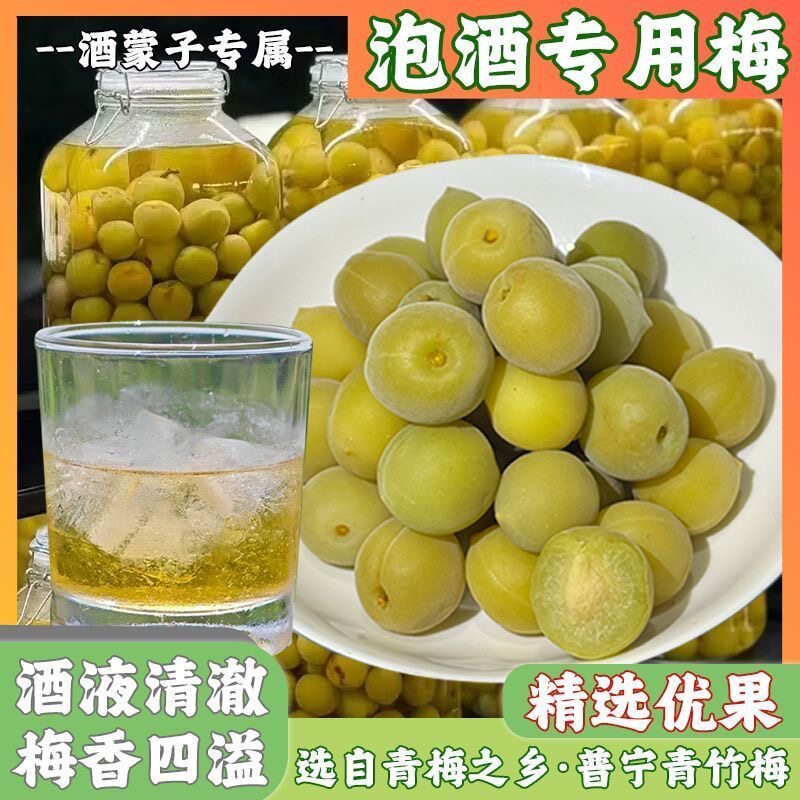 青梅泡酒专用现摘新鲜果腌制半成品省事蜜饯冰糖泡制便捷爽口精选解腻家庭果酒酸甜网红款无需处理果干小零食开胃梅子酒简单果脯