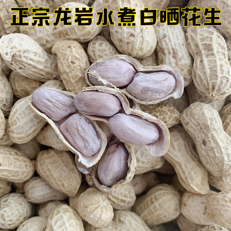 新龙岩水煮花生白晒干盐水煮咸干湿烤带壳熟特产坚果休闲小零食