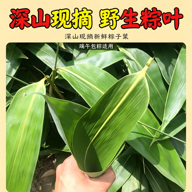 端午佳节现摘粽子叶无添加剂真空包装家用节日美食大叶大宽商用现摘叶粽香浓郁新鲜粽叶包粽子真空包装家用节日美食大叶大宽商用