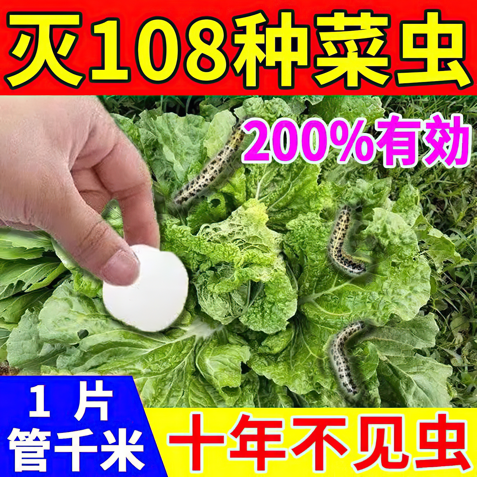 园艺防虫片杀虫剂植物小白药