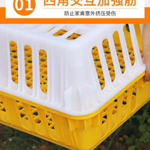 鸡笼周转箱塑料家禽运输笼特大成鸡鸭鹅筐加厚大号家用兔笼运输箱