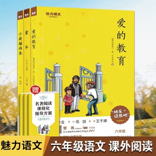 魅力语文快乐读书吧六年级上册爱的教育小英雄雨来童年小学6年级上册语文人教部编版课内外阅读书籍经典名著导读黄皮小学必读