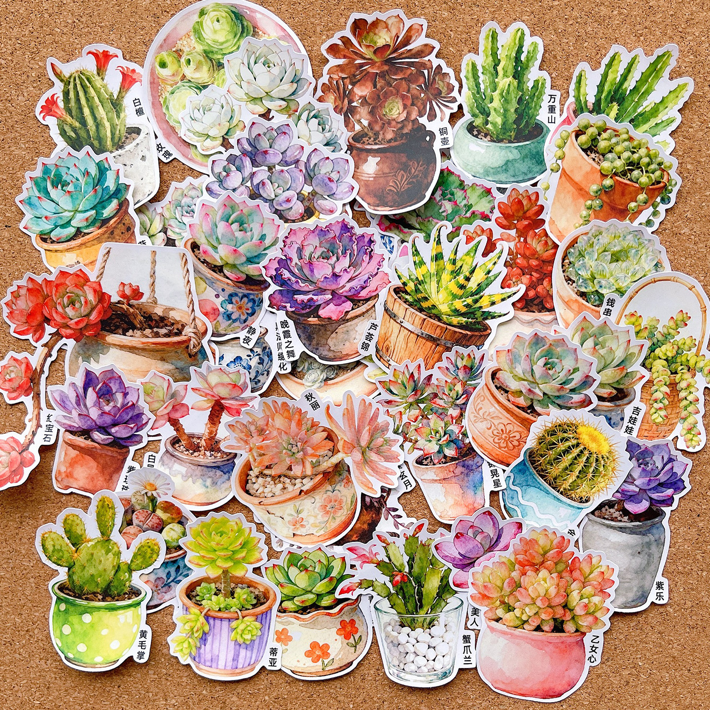 水彩多肉植物贴纸手账素材包儿童成长相册日记本独立不干胶粘画