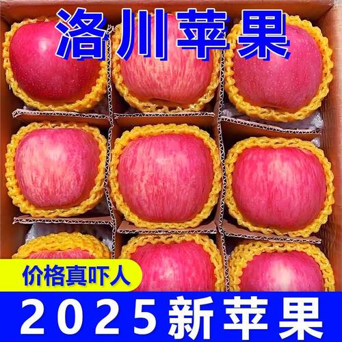 正宗陕西洛川苹果水果新鲜