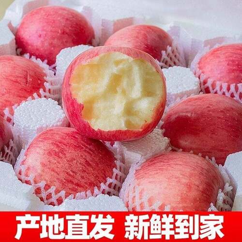 正宗陕西洛川苹果水果新鲜当