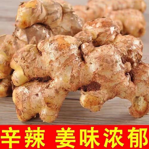 云南文山小黄姜新鲜生姜现挖