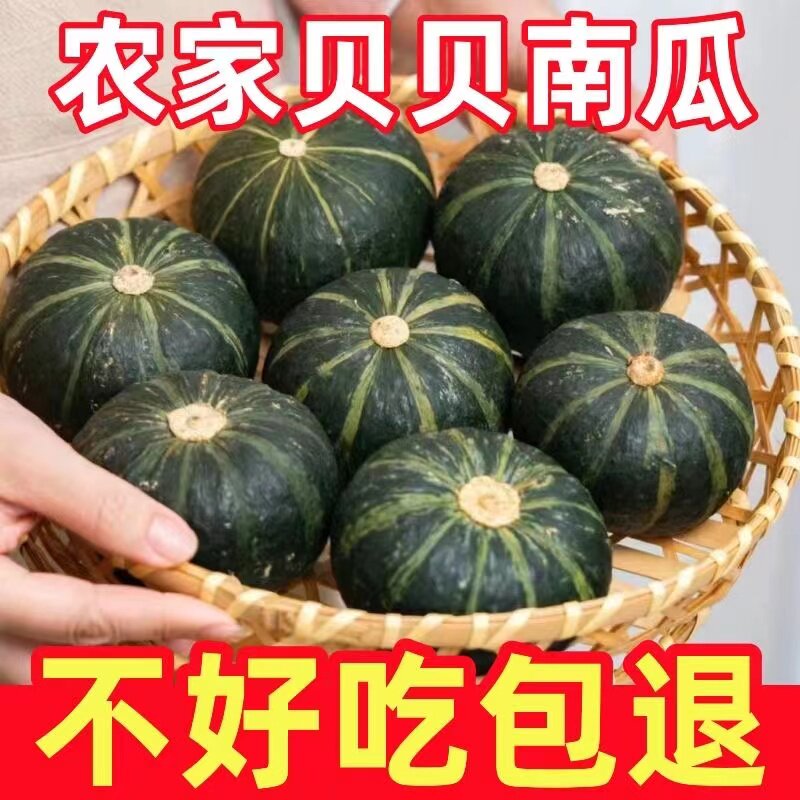 新鲜迷你小南瓜蔬菜贝贝南瓜栗面老南瓜宝宝辅食板栗味5斤包邮