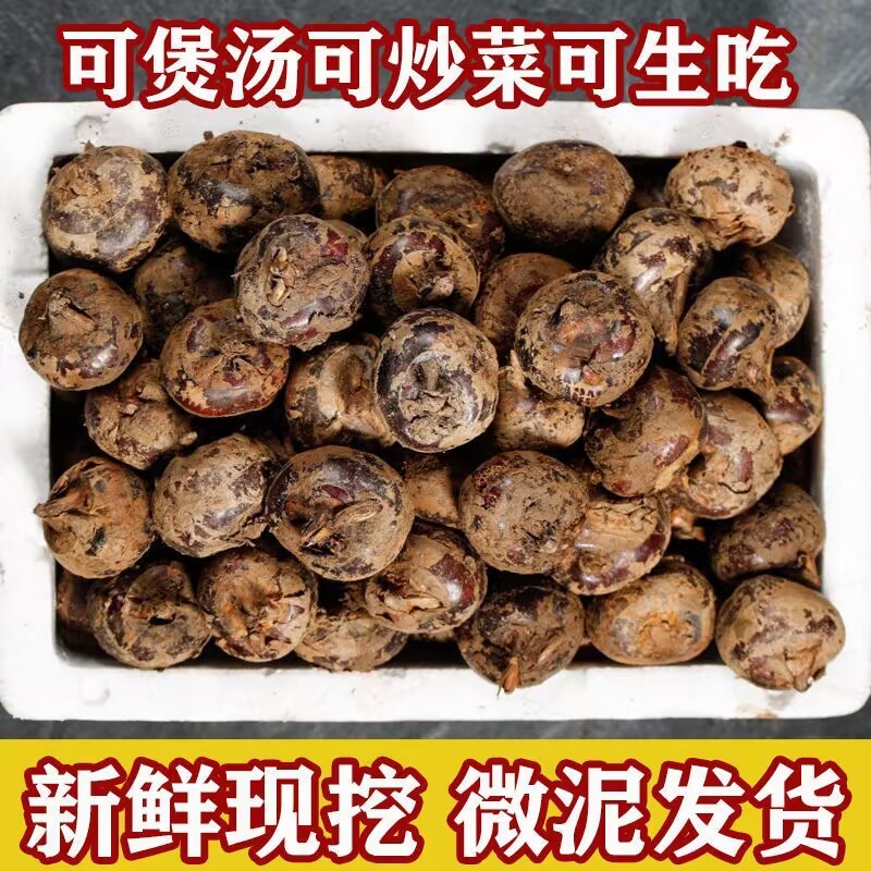 广西新鲜牛奶马蹄果5斤本地珍珠当季蔬菜即食水果无为荸荠小果