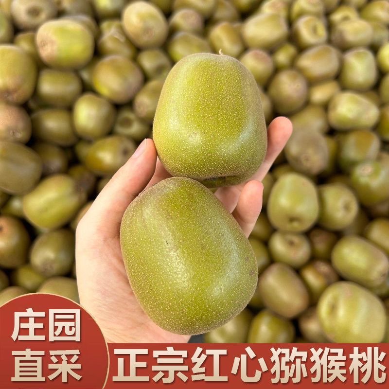 四川红心猕猴桃新鲜孕妇水果